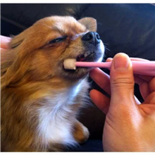 Load image into Gallery viewer, PT05-11Y / PT05-11P / PT05-13Y / PT05-13G POPOTAN 360-degree Pet Toothbrush ~ 11mm