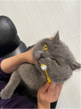 Load image into Gallery viewer, PT05-11Y / PT05-11P / PT05-13Y / PT05-13G POPOTAN 360-degree Pet Toothbrush ~ 11mm