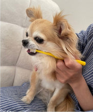 Load image into Gallery viewer, PT05-11Y / PT05-11P / PT05-13Y / PT05-13G POPOTAN 360-degree Pet Toothbrush ~ 11mm