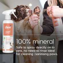Load image into Gallery viewer, NDP-01 Pet All in One Disinfectant