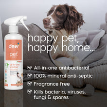 Load image into Gallery viewer, NDP-01 Pet All in One Disinfectant