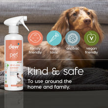 Load image into Gallery viewer, NDP-01 Pet All in One Disinfectant