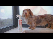 Load and play video in Gallery viewer, NDP-01 Pet All in One Disinfectant