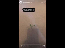 Load and play video in Gallery viewer, NDW-06-FF Superclean (Fragrance Free)